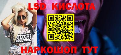 spice Славгород